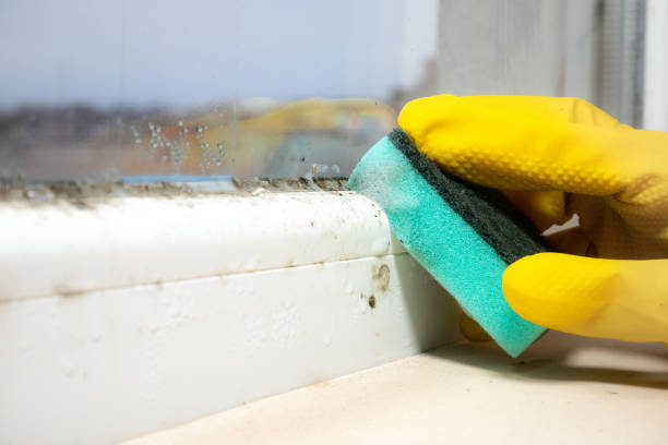 Genoa, OH Mold Remediation Company